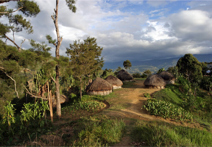 new-guinea-img-1
