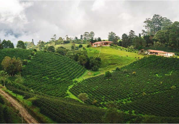 Kolumbien-img-1